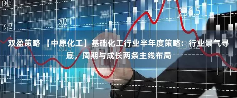 双盈策略 【中原化工】基础化工行业半年度策略：行业景气寻底，周期与成长两条主线布局