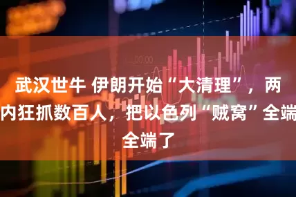 武汉世牛 伊朗开始“大清理”，两周内狂抓数百人，把以色列“贼窝”全端了