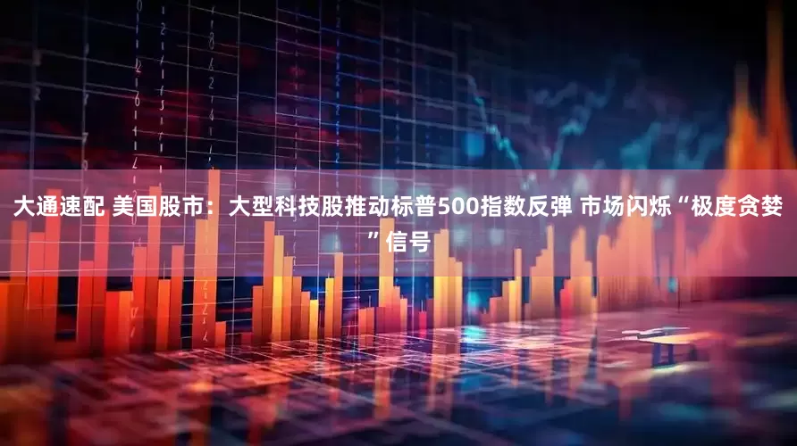 大通速配 美国股市：大型科技股推动标普500指数反弹 市场闪烁“极度贪婪”信号