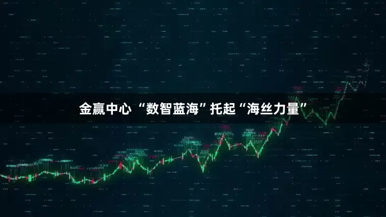 金赢中心 “数智蓝海”托起“海丝力量”